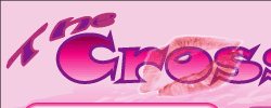 The Crossdresser