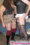 Tgirl hookers compairing cocks